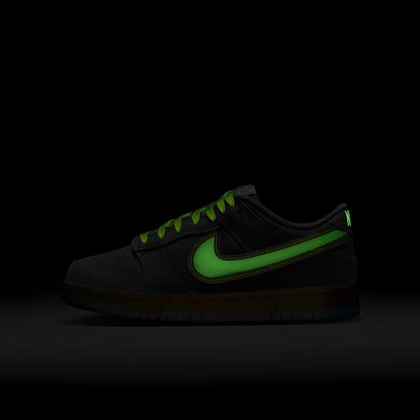 official nike sb dunks website women